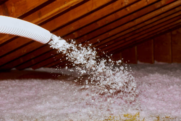 Best Eco-Friendly Insulation in Algona, WA