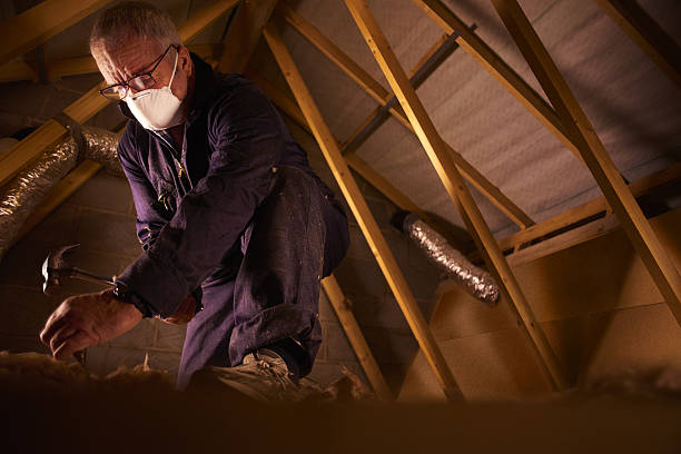 Best Residential Insulation in Algona, WA